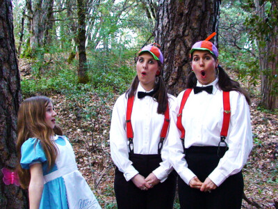 Alice meets Tweedle.Com and Tweedle.Org