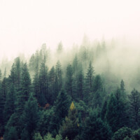 Misty Mountains