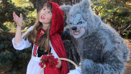 Part 2) Little Web and the Wolf Little Web Riding Hood and the Wolf